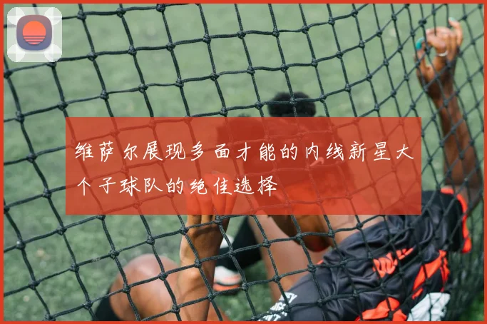 维萨尔展现多面才能的内线新星大个子球队的绝佳选择